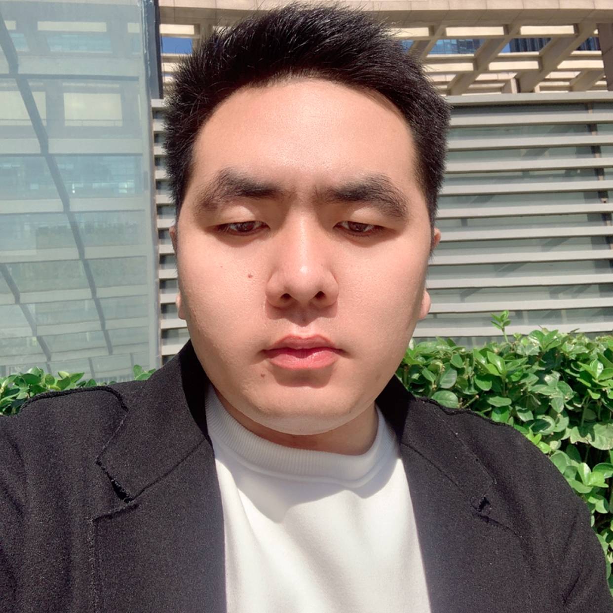 虚伪的欢乐的照片