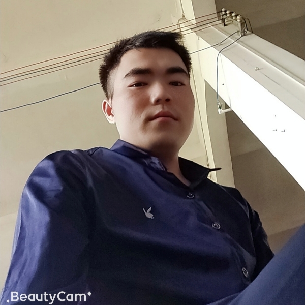 蘩藜高大的照片