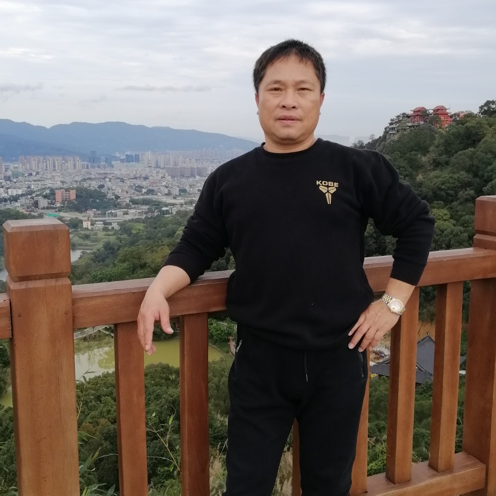 含糊蹁跹斑马的照片