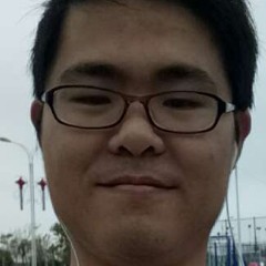 落叶的照片