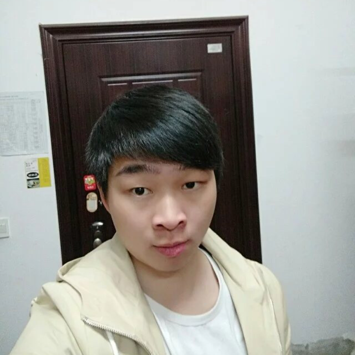 木桩后躲猫猫的照片