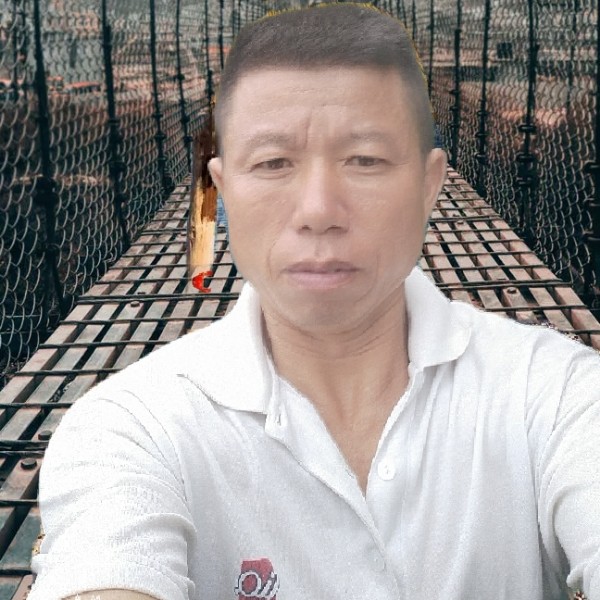 托单人是你没的照片