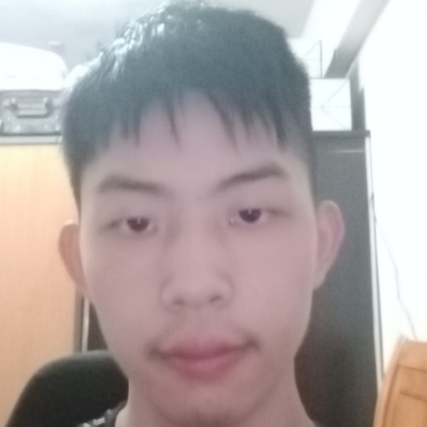 孤独的一条鱼的照片