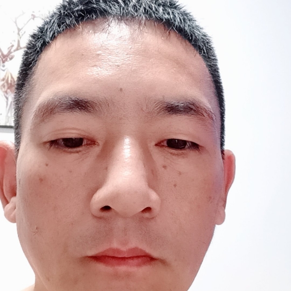书动的照片