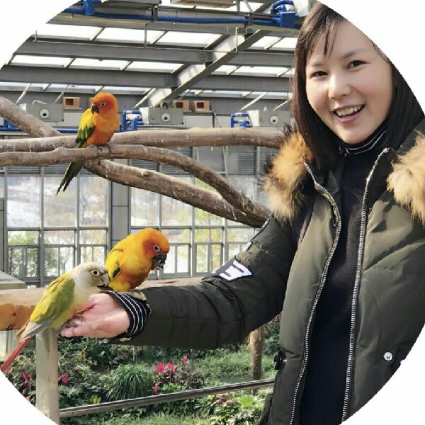 皮卡丘1的照片