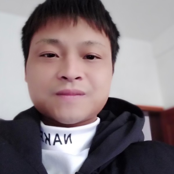 老鼠迎可爱的照片