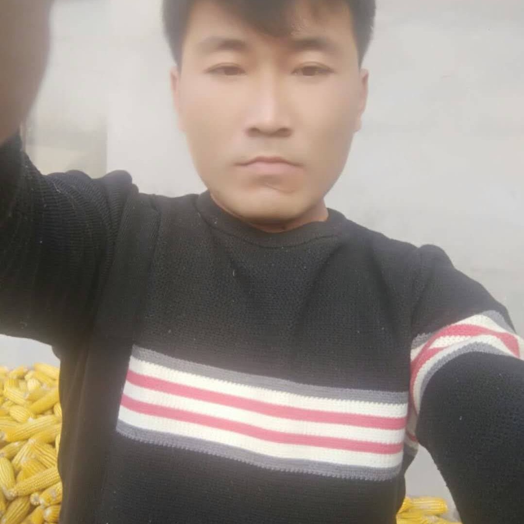 撕夜SSR的照片