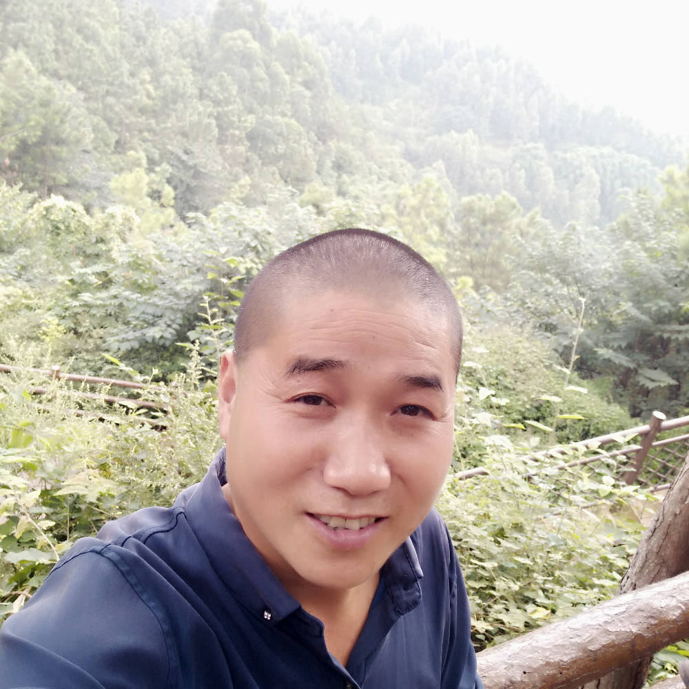 大象正直的照片