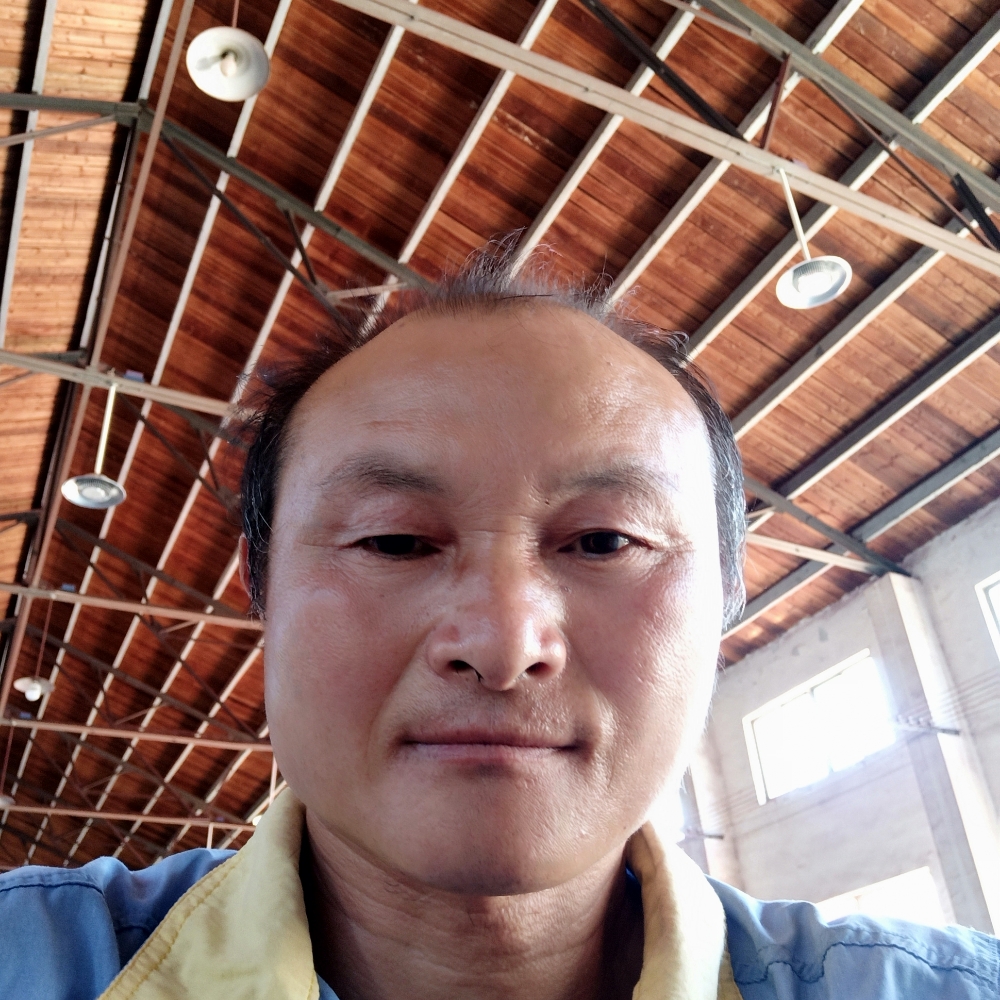 我很诚实的照片