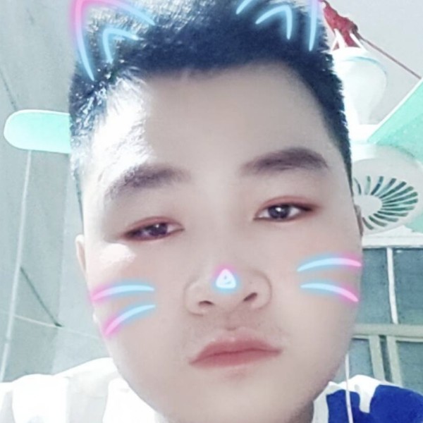 如意蹙眉小刺猬的照片