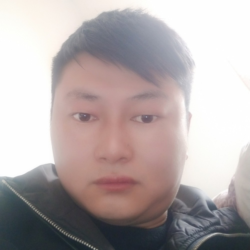 小鸽子受伤的照片