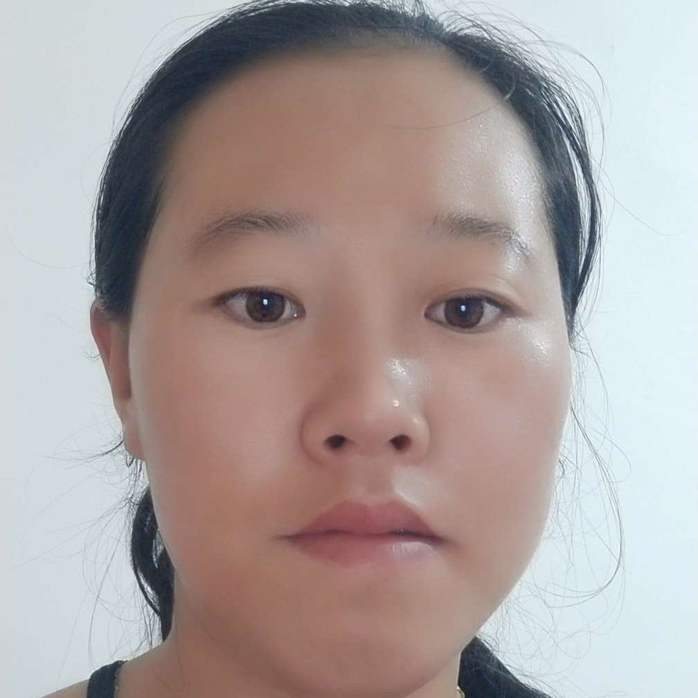 黄蜂演变稳重的照片