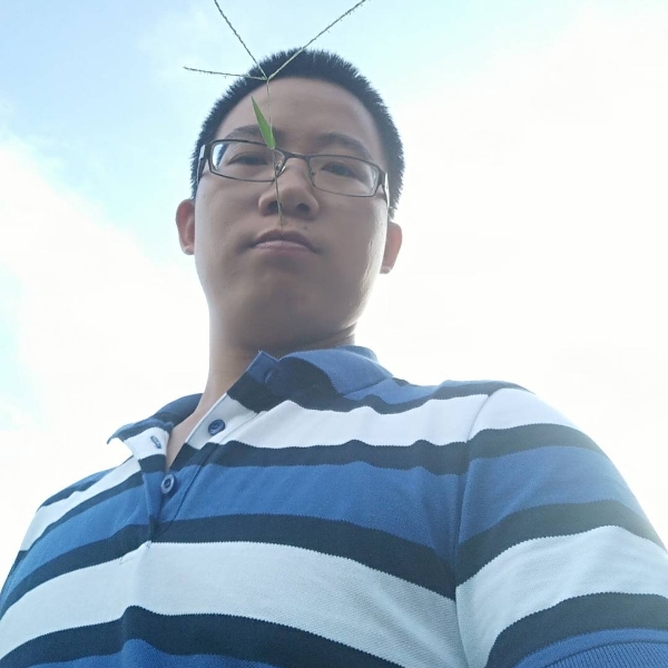 大象向积极的照片