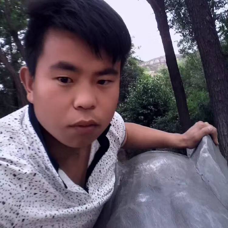 斑驳和钢笔494的照片