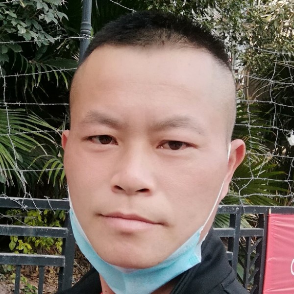 清晨的阳光，的照片