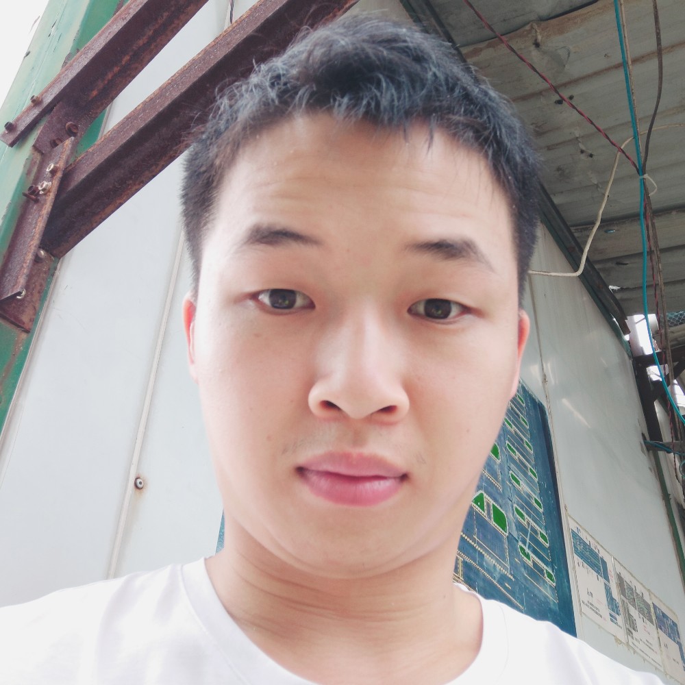 广东靓仔叶的照片