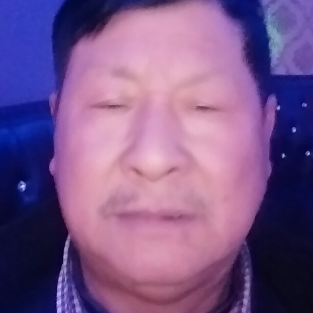 我真爱蜂的照片