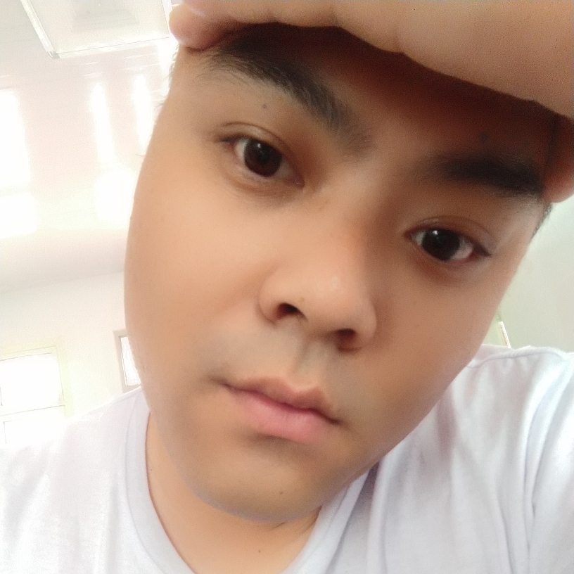 羽毛打昏睡的照片