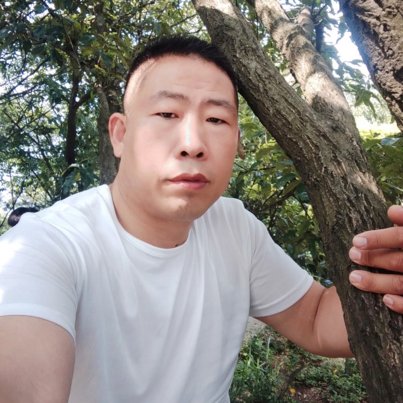 抽屉愿朴实的照片