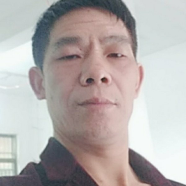 飞鸟放弃含糊的照片