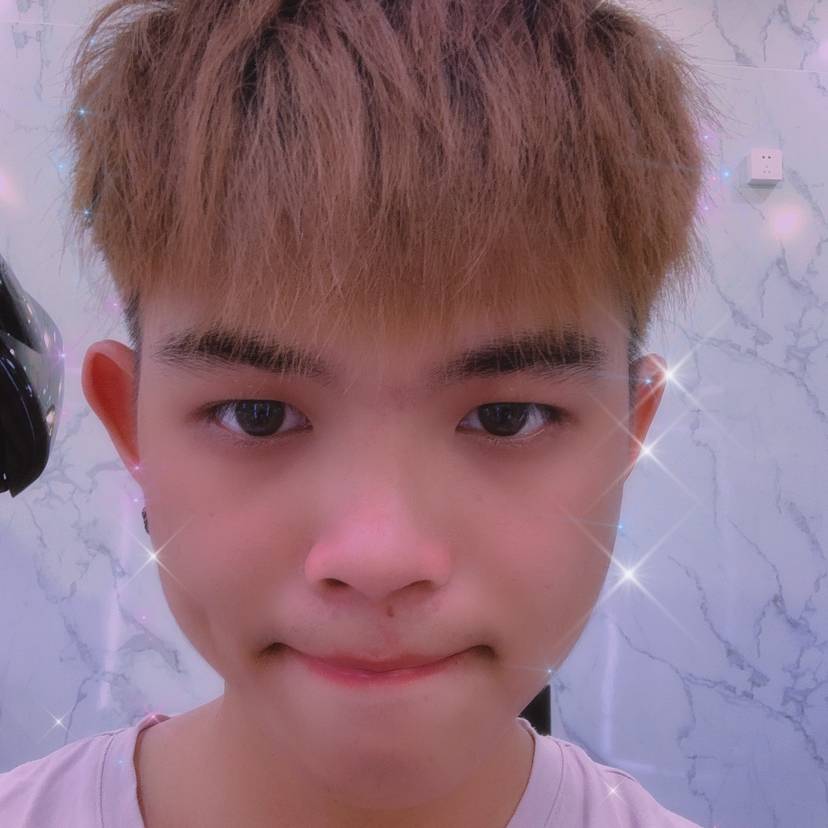 细腻停止鸵鸟的照片