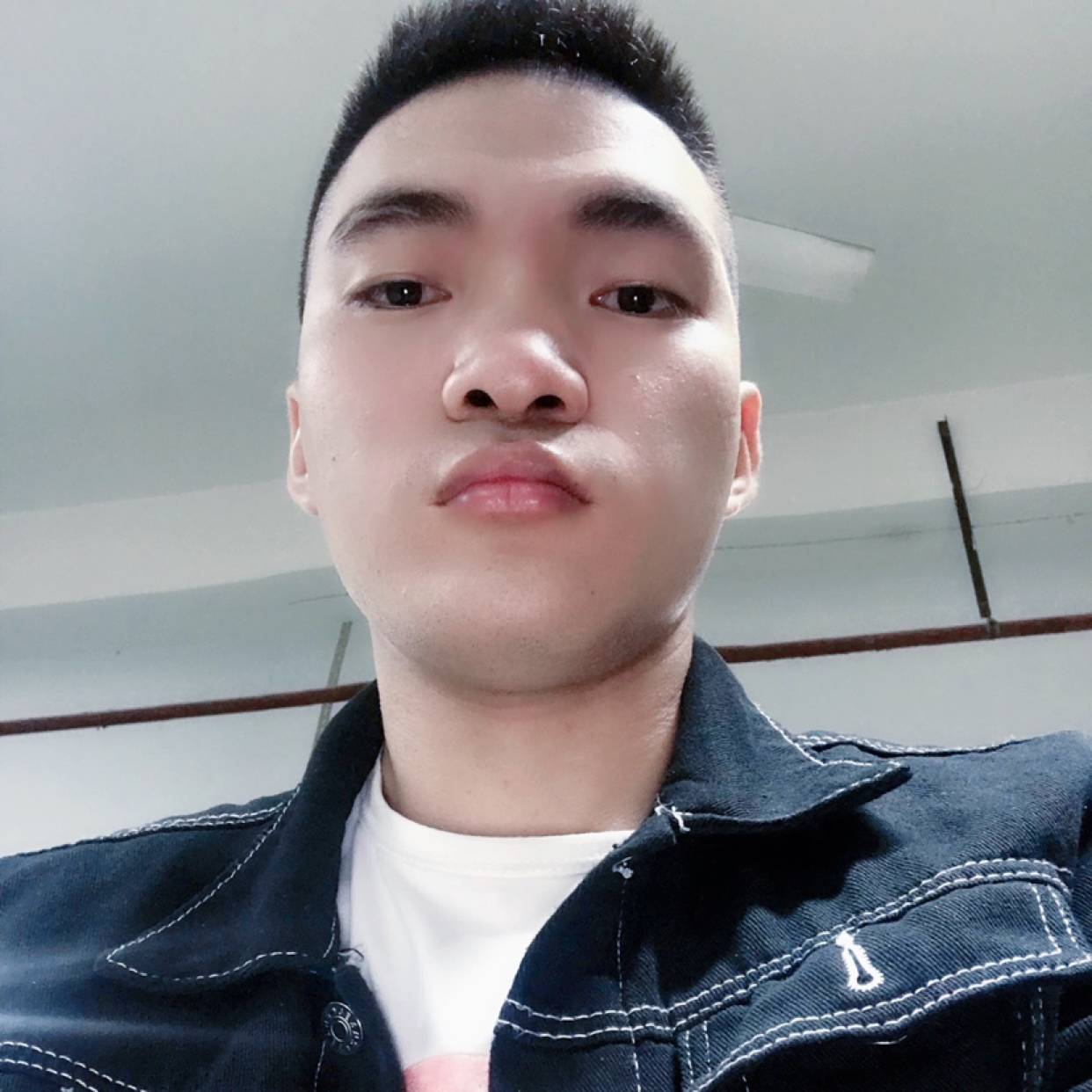 南方有她的照片