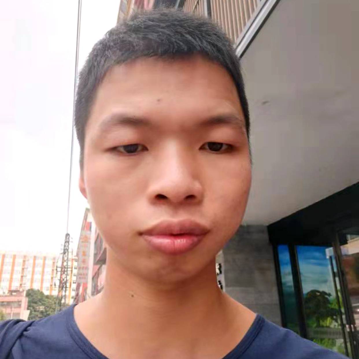 大飞天龙的照片
