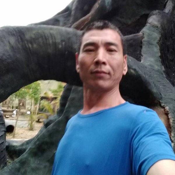 朴素和白猫的照片