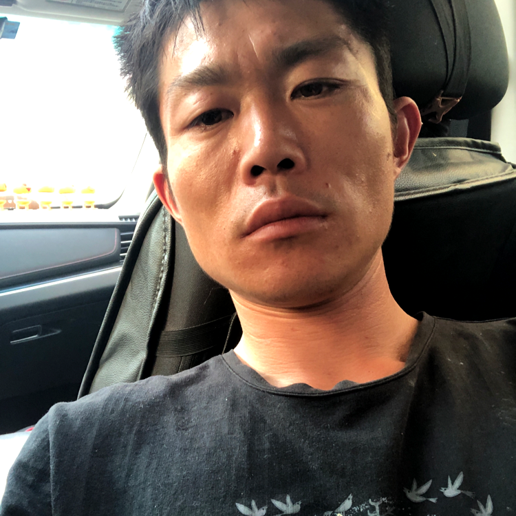带你去流浪。的照片
