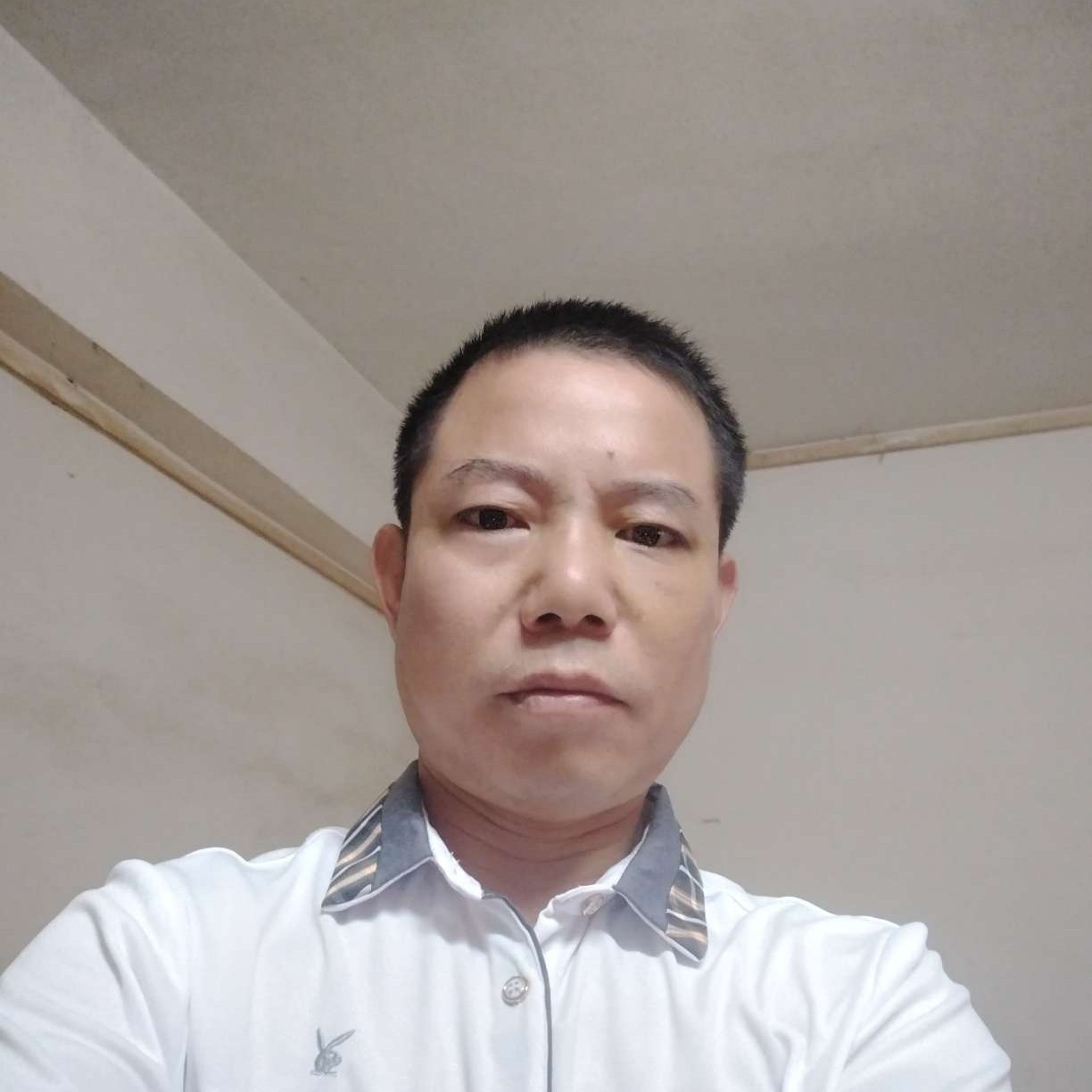 冬瓜多么谨慎的照片