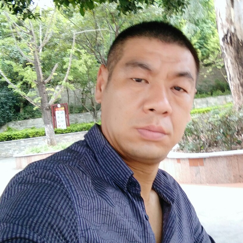 淡如血的照片