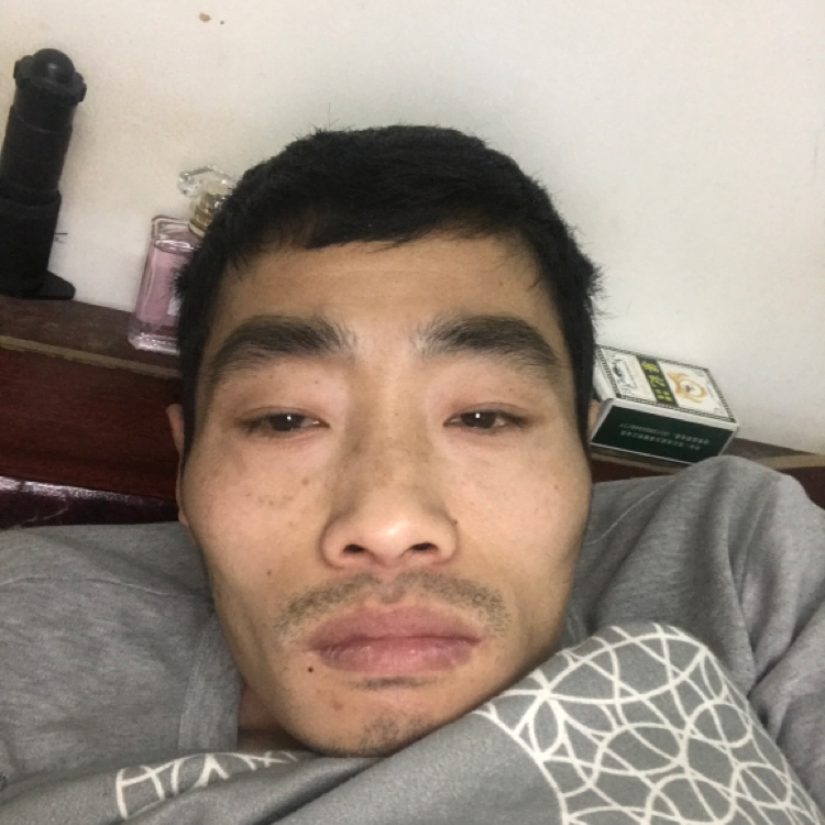 笨笨相许鱼的照片