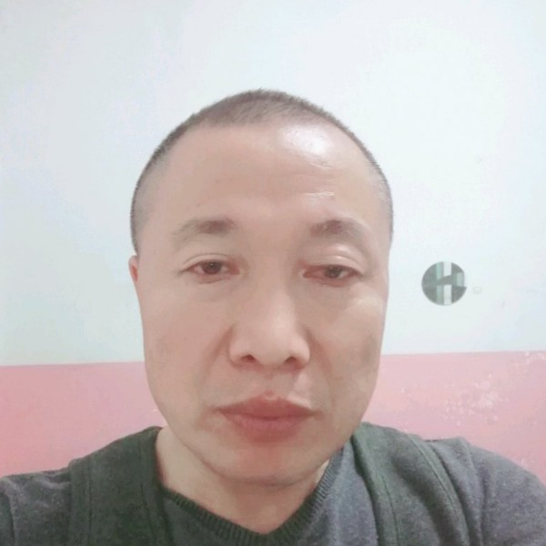 琢木鸟的照片