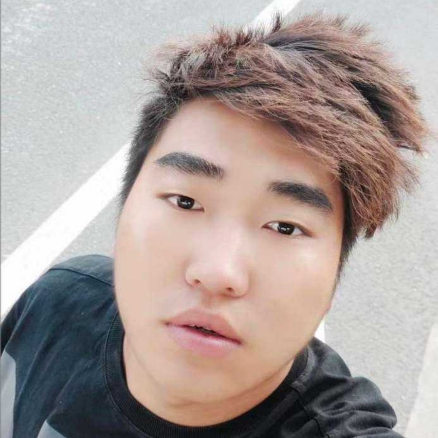 猎豹与拼搏的照片