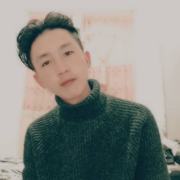 草丛演变超级的照片