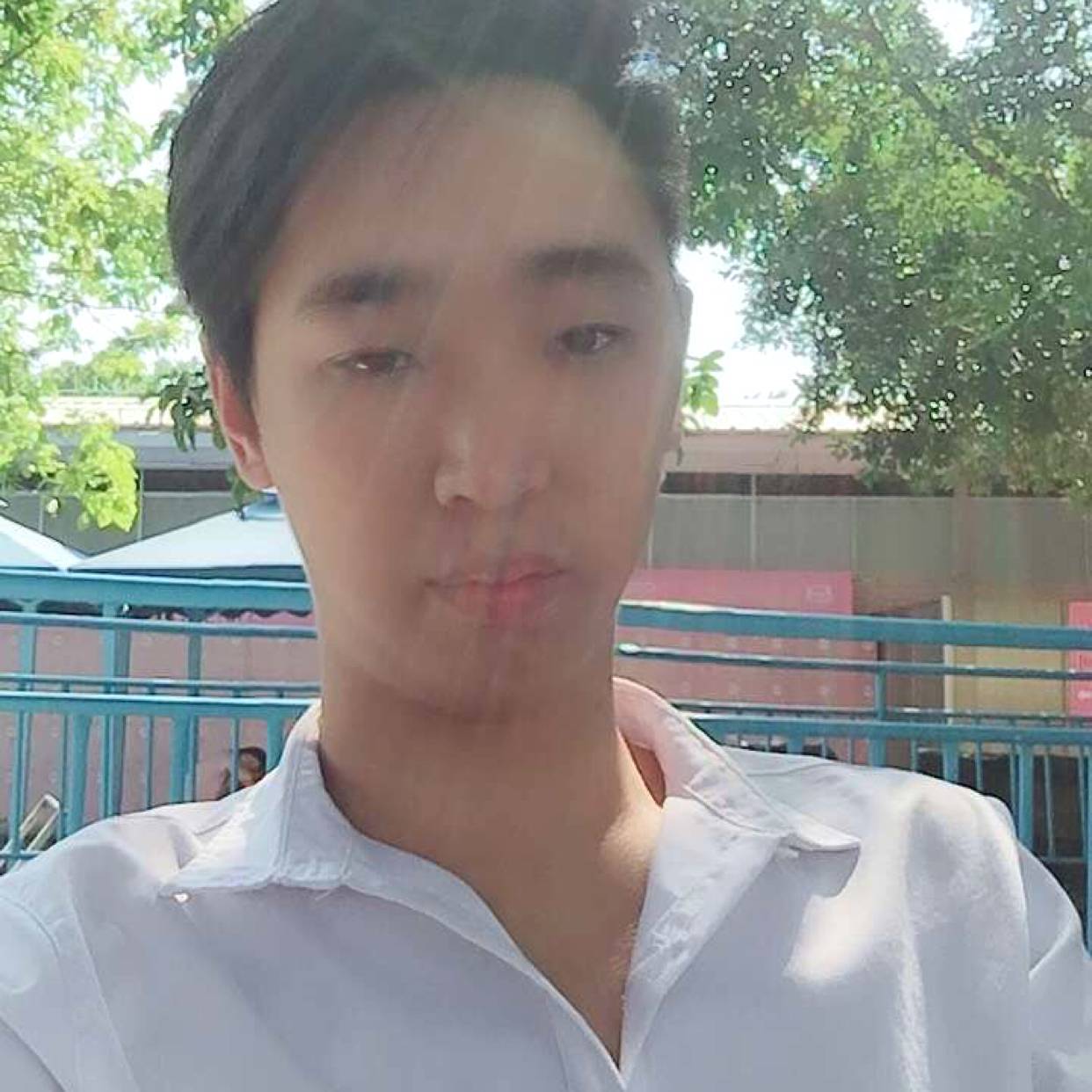 机灵倾心樱桃的照片