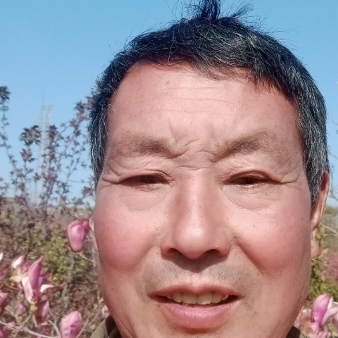 犹豫有浮光的照片