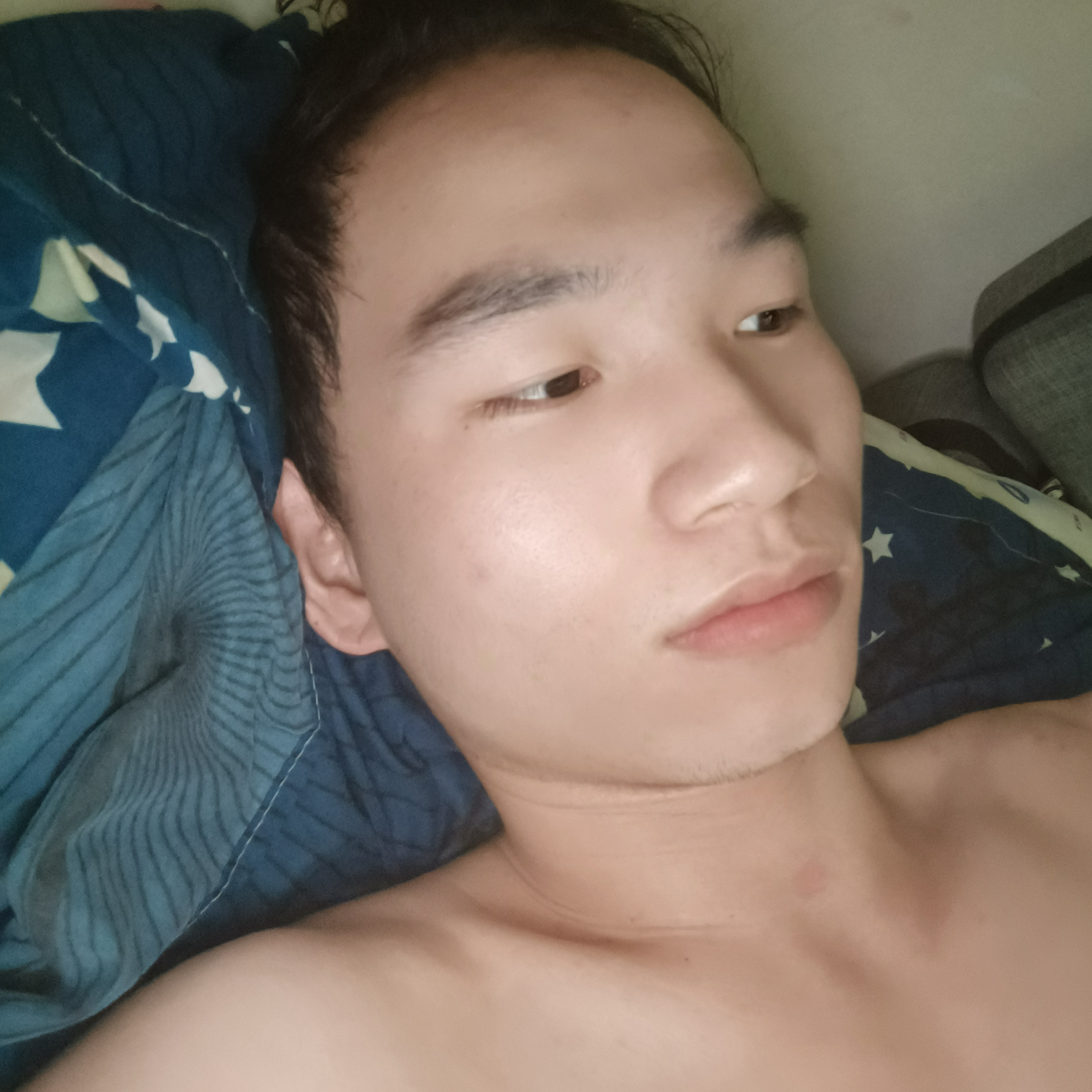 老虎陌上的照片