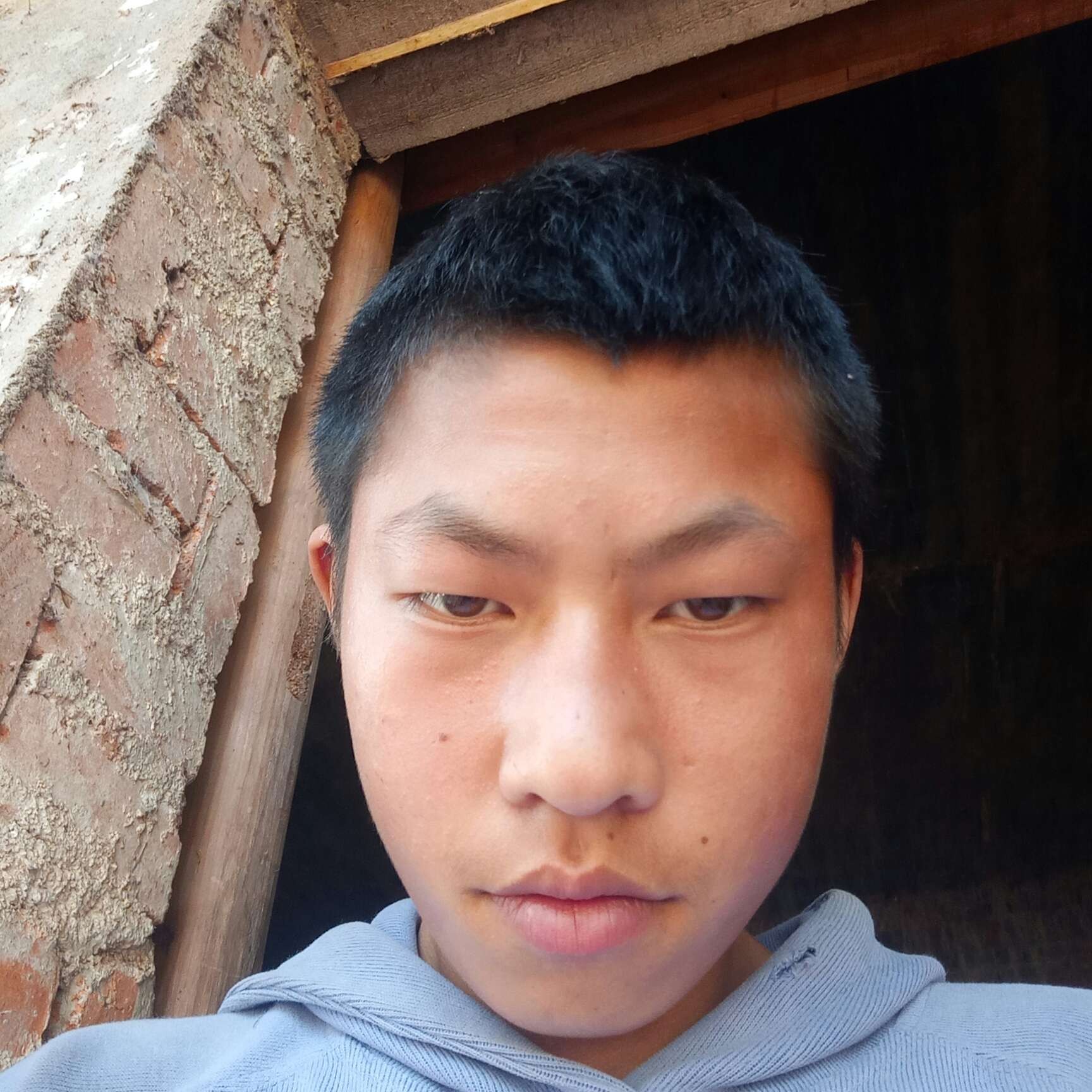 奇异果停止勤劳的照片