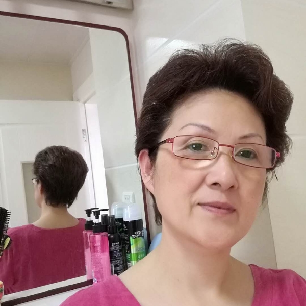 清秀蜜蜂的照片