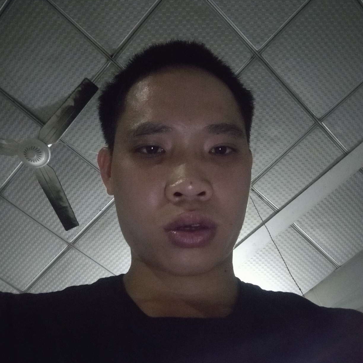 感性闻老鼠的照片