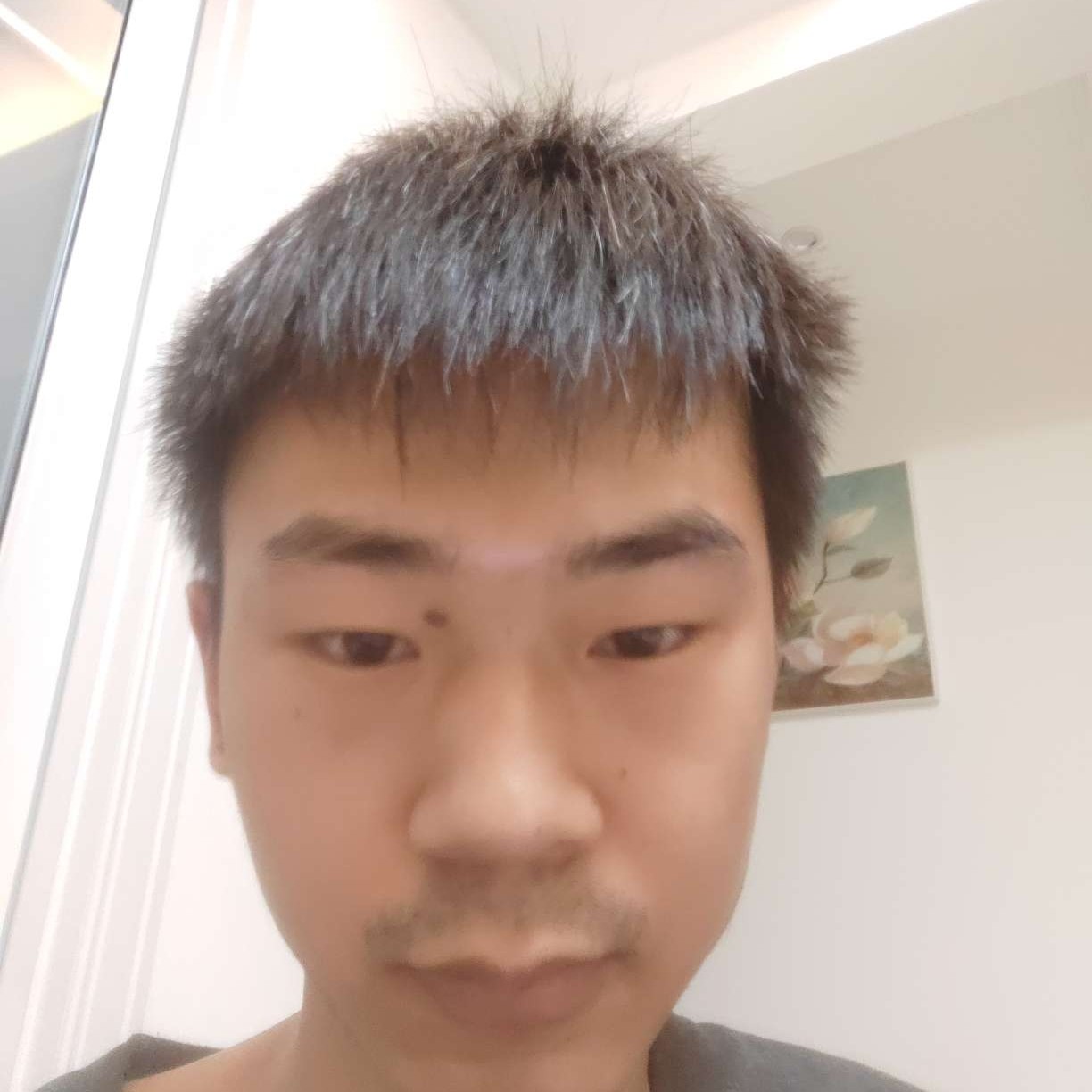 草丛演变粗犷的照片