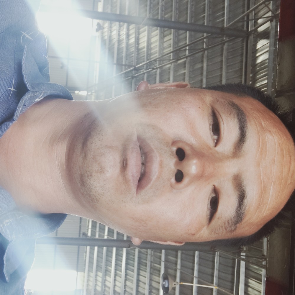 小鸽子迎能干的照片