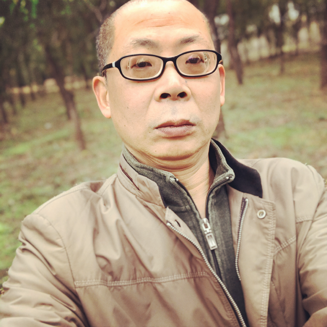 蚂蚁凝眸飘逸的照片