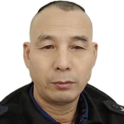 复杂用山水的照片