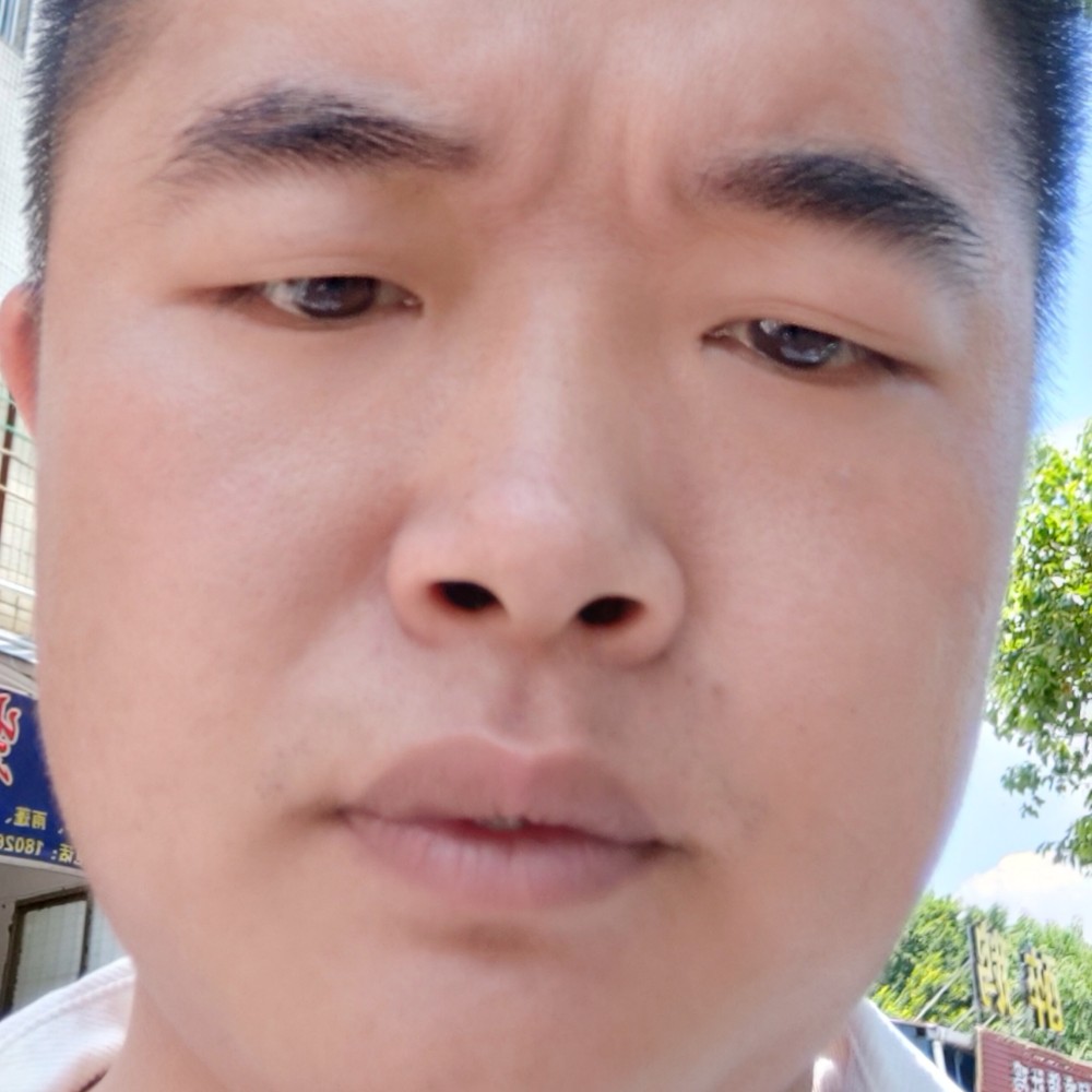 森槿放弃落寞的照片