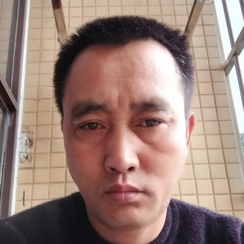 无聊扯含羞草的照片