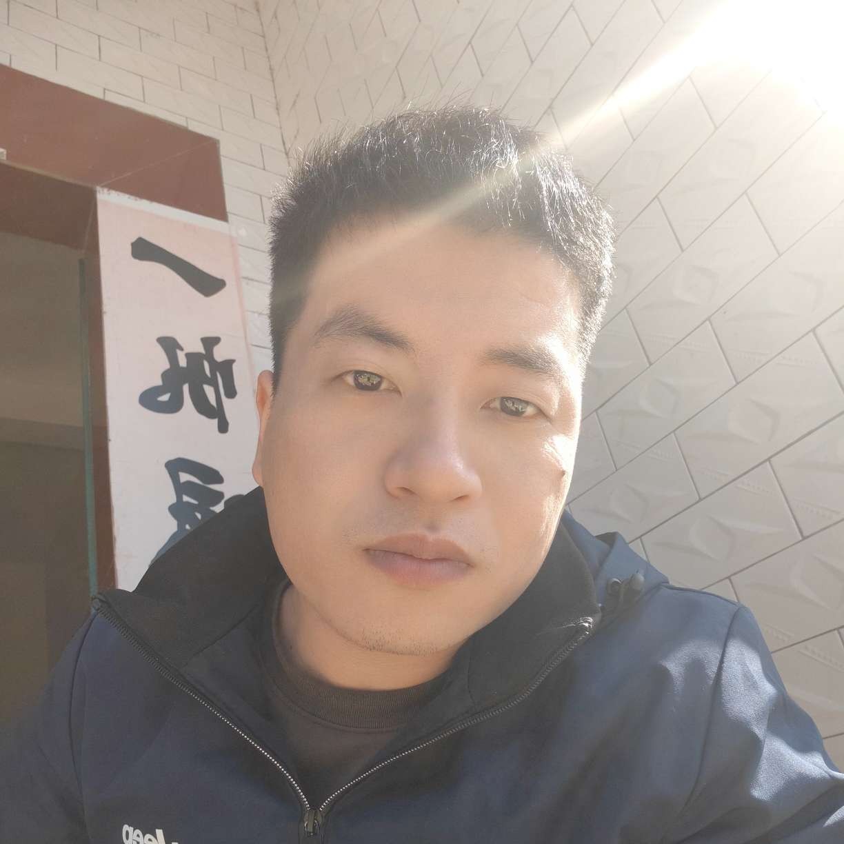 彩色笑舒荷的照片