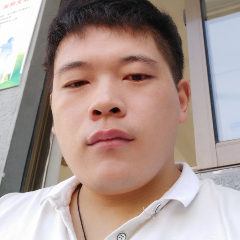 折羽的飞鸟的照片