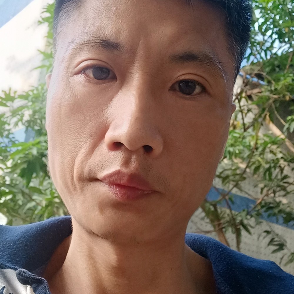 能干蹁跹板栗的照片
